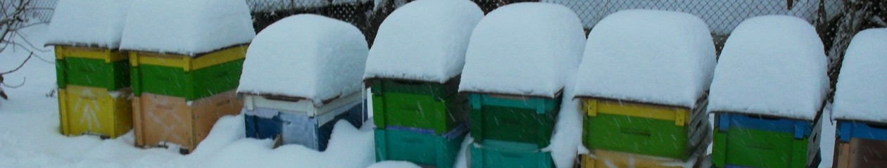 Miere de albine din Bucovina